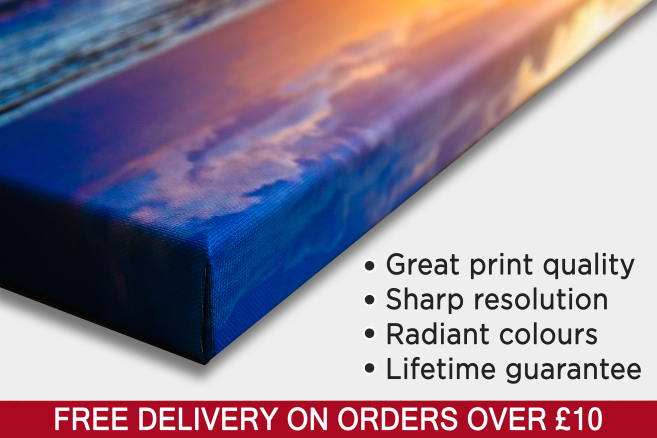 Premier Canvas Prints